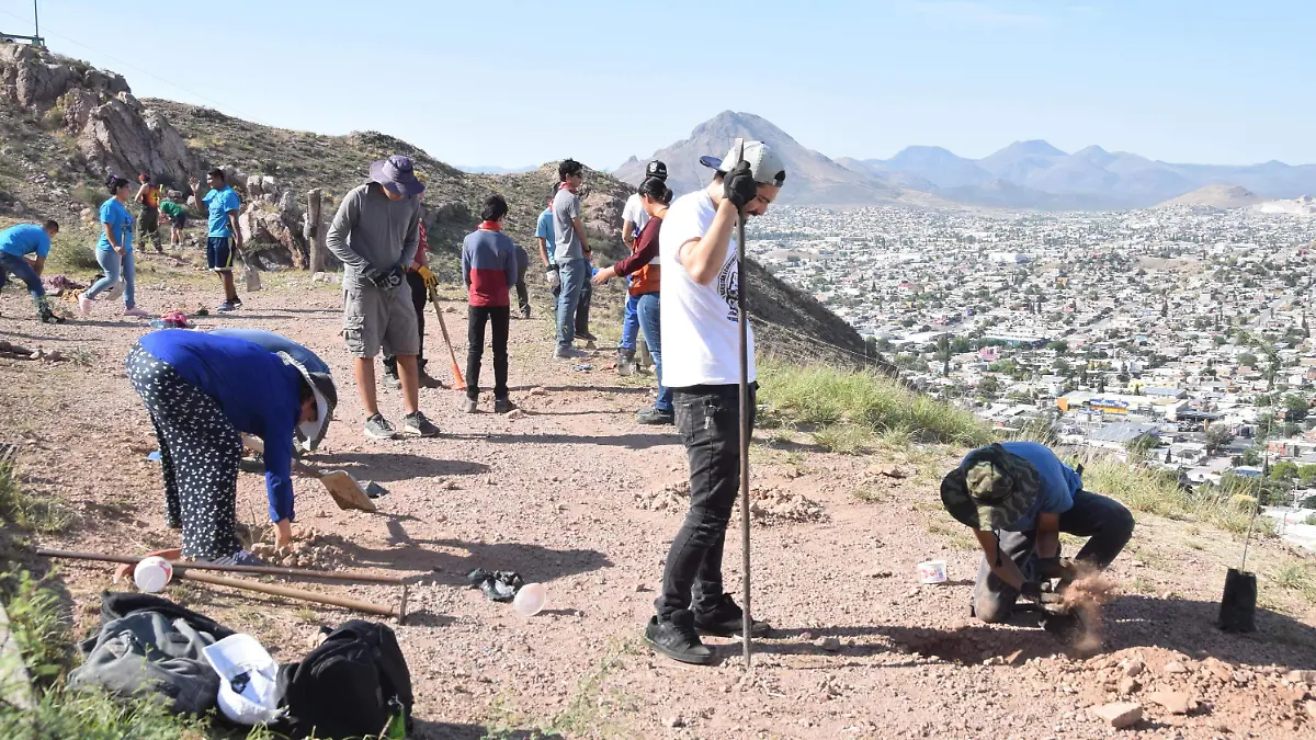 familias y jovenes plantan arboles en cerro coronel (13)